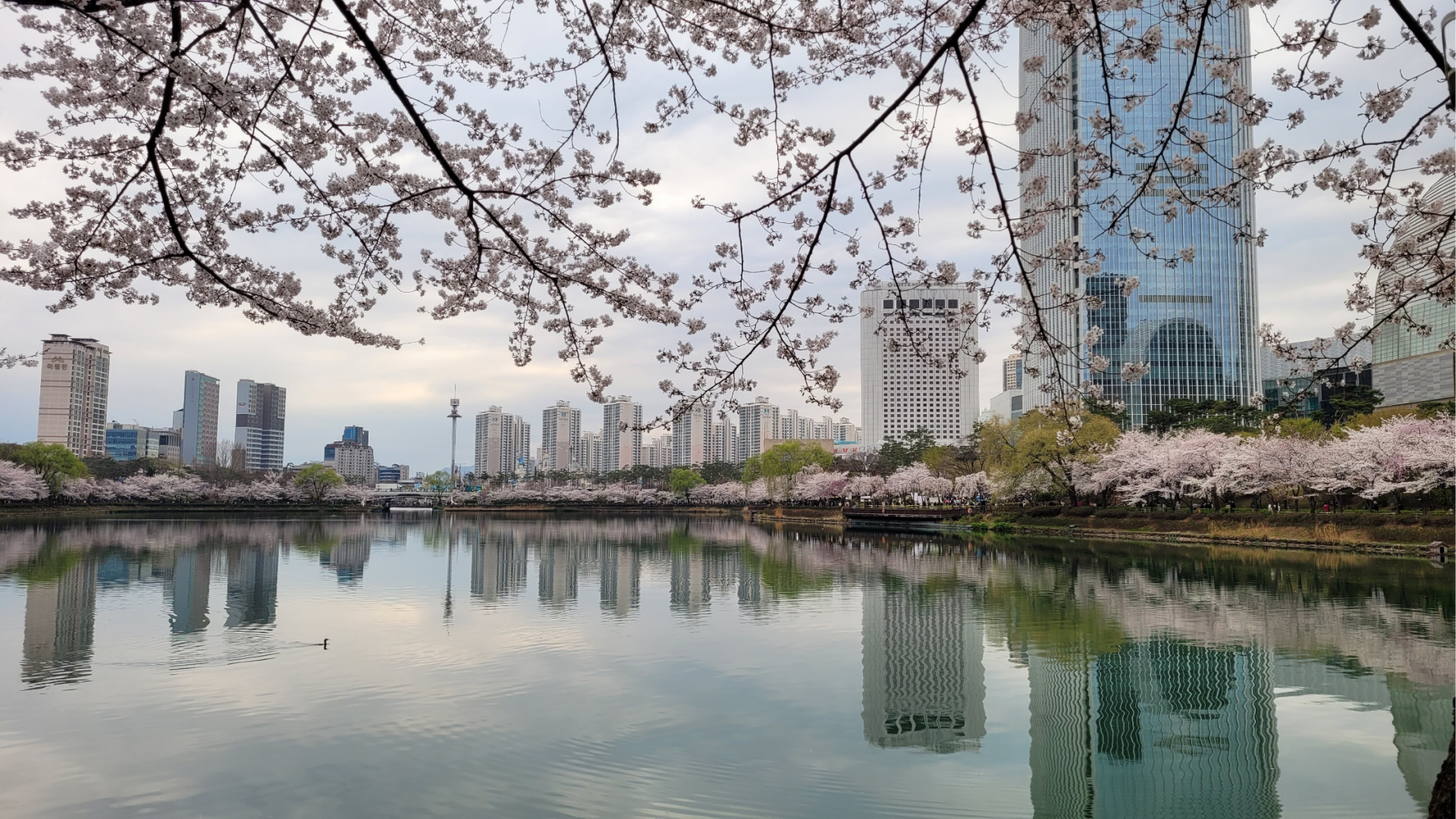 Dein Visum-Guide für Südkorea