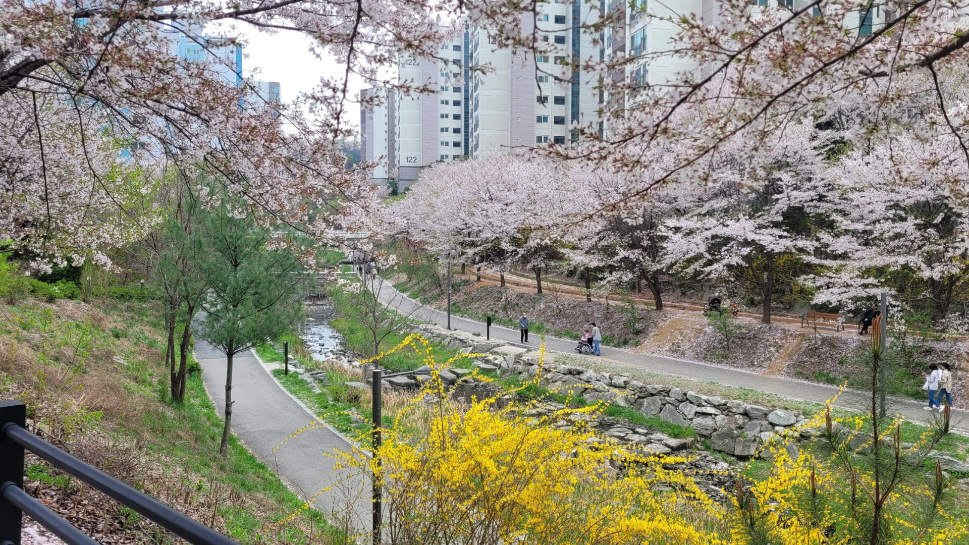 Die beste Reisezeit für Südkorea: Jahreszeiten-Guide