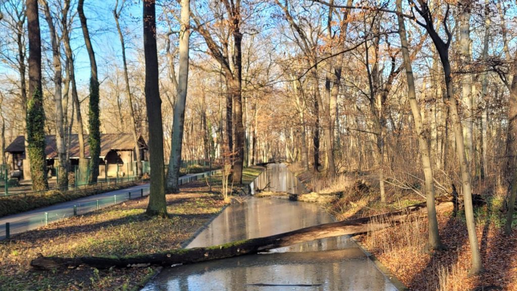 fall in Berlin, foliage at Berlin Tierpark