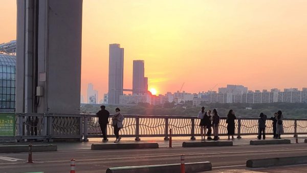 Koreanische Kultur in Berlin: Der ultimative Guide für K-Culture Lovers