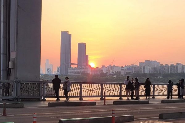 Korean Culture in Berlin: Your Complete Guide to Seoul Vibes Without the Flight
