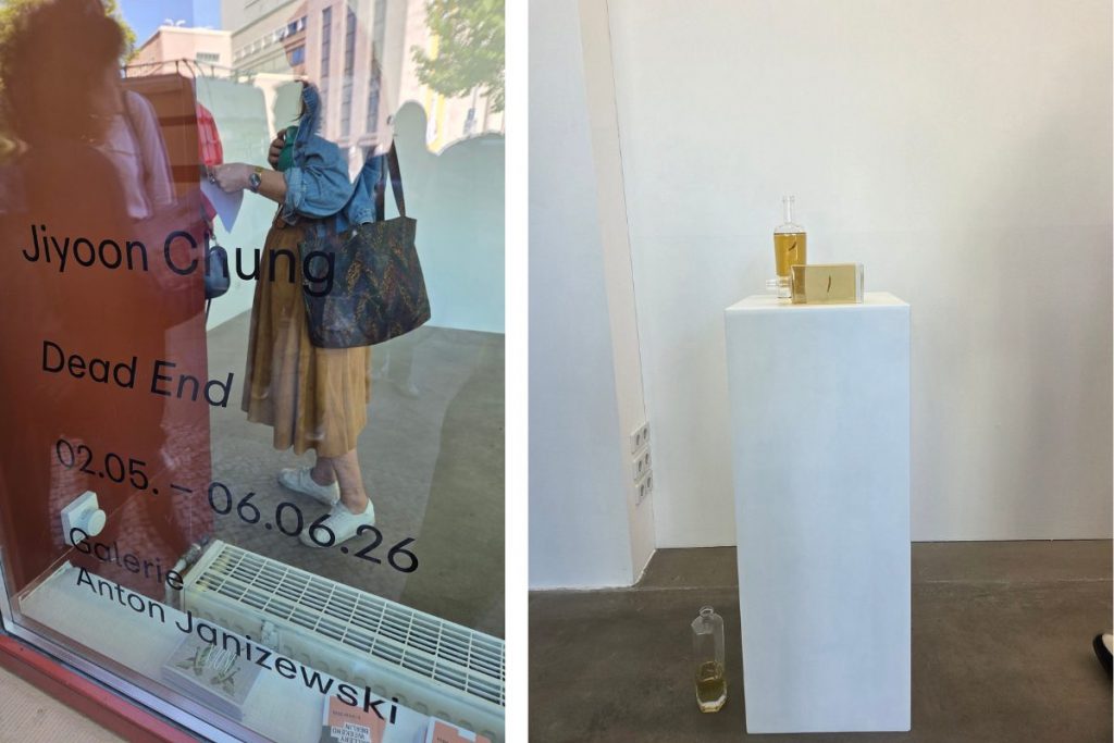 jiyoon chung at galerie anton janizewski
